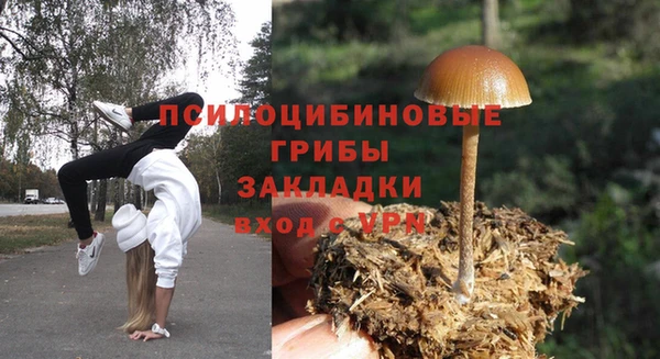 спайс Богородицк