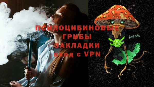 спайс Богородицк