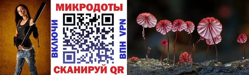 Галлюциногенные грибы MAGIC MUSHROOMS  Зима 