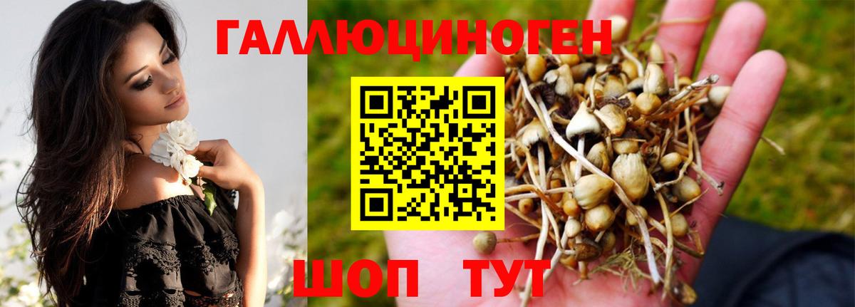 Зима  Галлюциногенные грибы MAGIC MUSHROOMS  Вход с VPN  Псилоцибиновые грибы GOLDEN TEACHER 